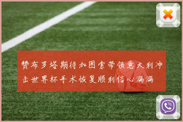 赞布罗塔期待加图索带领意大利冲击世界杯手术恢复顺利信心满满