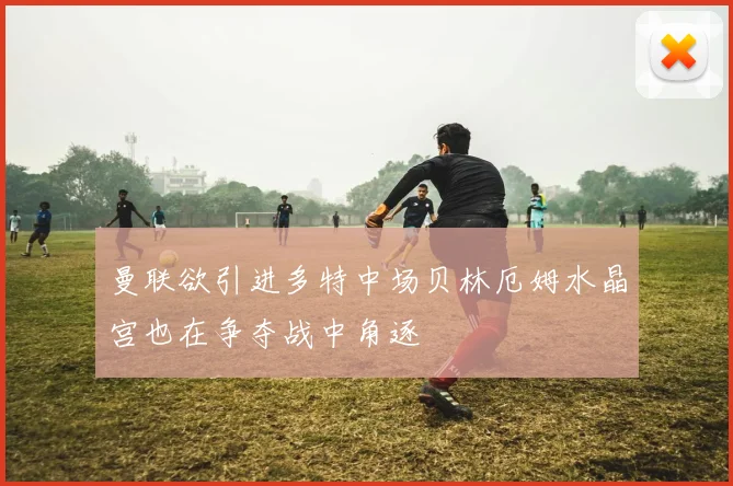 曼联欲引进多特中场贝林厄姆水晶宫也在争夺战中角逐