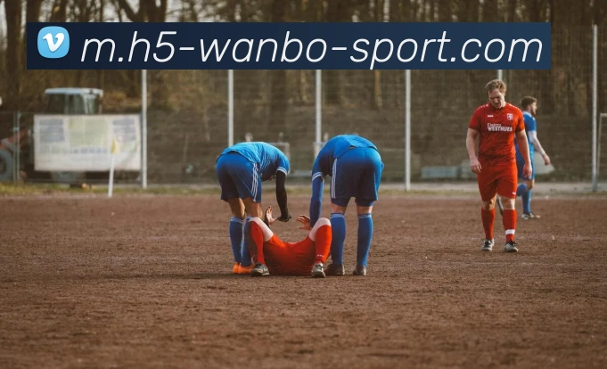 万博体育APP 高清赛事图